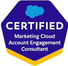 CMCES:Certified Marketing Cloud Email Specialist
